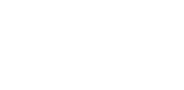 Logo Castillo